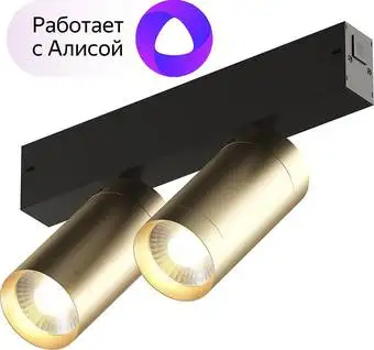Трековый светильник Denkirs Smart DK8012-BG – изображение в каталоге