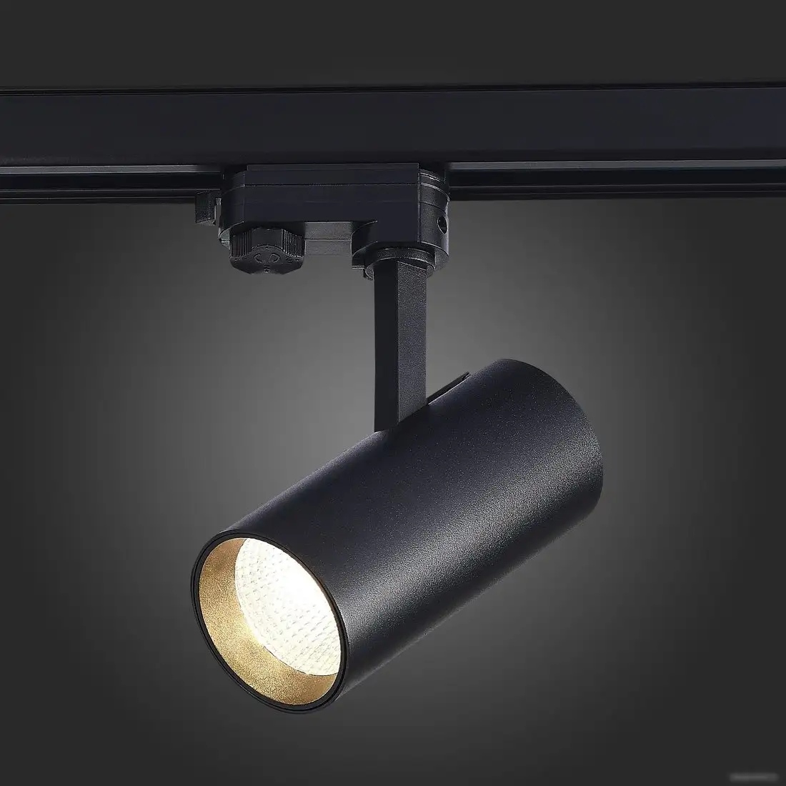 Трековый светильник ST Luce ST661.446.20 – фото товара