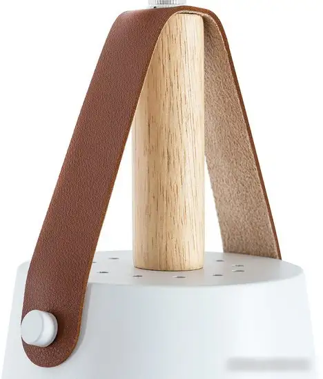 Светильник Arte Lamp Thomas A7032SP-1WH – фото товара