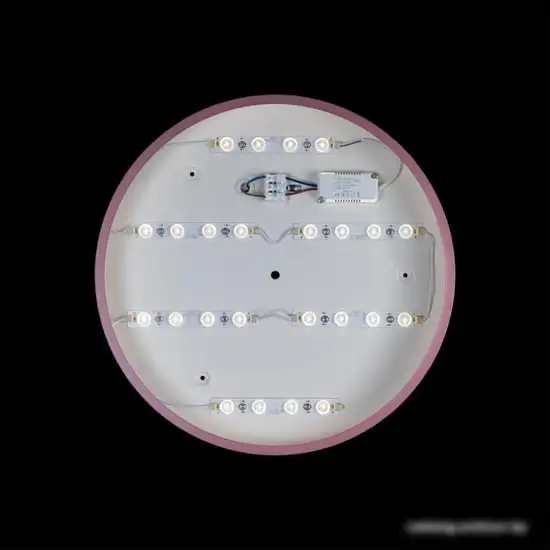 Люстра-тарелка LOFT IT Axel 10003/24 Pink – фото товара
