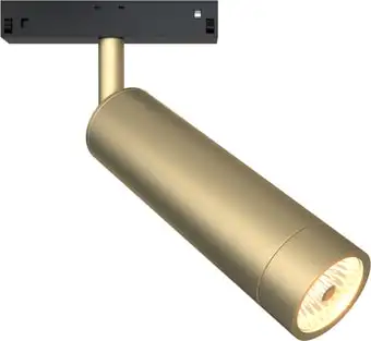 Точечный светильник Maytoni TR019-2-7W4K-MG – изображение в каталоге