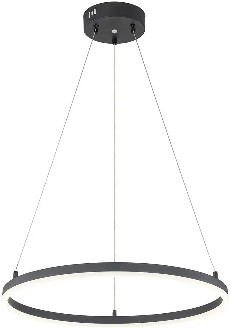 Подвесная люстра Escada Void 10254/1LED (Black APP) – фото товара