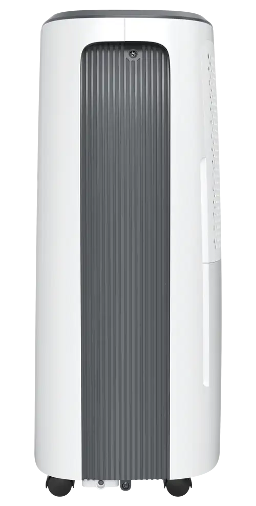 Осушитель воздуха Royal Clima Carisma Loft RD-CR20-E - фото товара