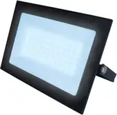 Уличный прожектор Uniel ULF-F21-70W/6500K IP65 200-250В BLACK UL-00007366 – изображение в каталоге