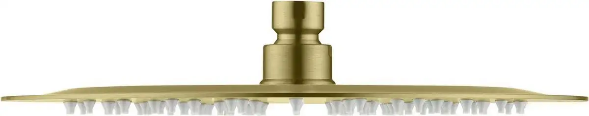 Верхний душ Aquatek AQ2073BG (золото) - фото товара