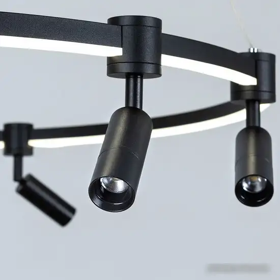 Подвесная люстра Arte Lamp Ring A2186SP-1BK – фото товара