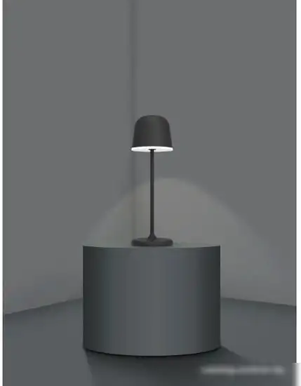 Садовый светильник Eglo Mannera 900457