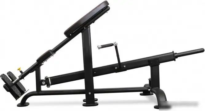 Силовая тяга Bronze Gym PL-1718 – фото товара