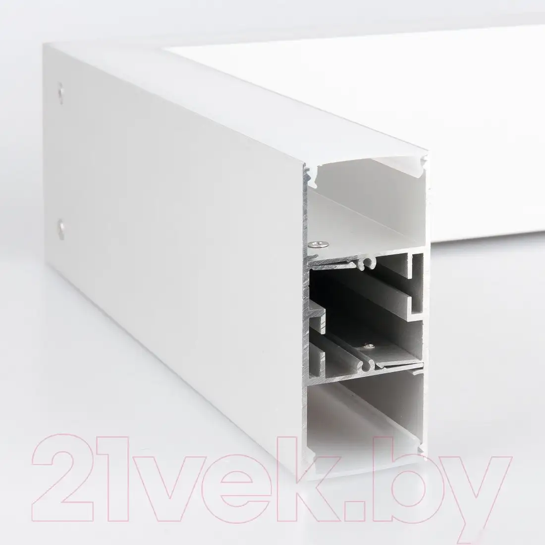 Подсветка для картин Elektrostandard 101-100-30-103 20W 6500K (матовое серебро) – фото товара