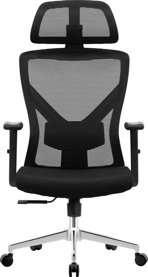 Офисное кресло Evolution ErgoLine 2 (черный) – фото товара