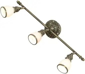 Спот Lussole Loft GRLSL-7301-03 – изображение в каталоге