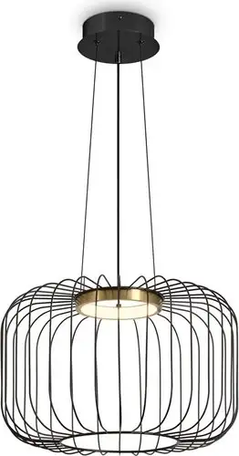 Подвесная люстра Freya Citrus FR5398PL-L8B – изображение в каталоге