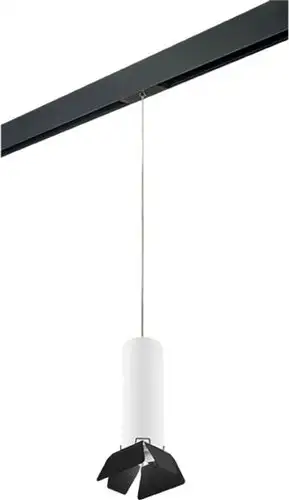 Трековый светильник Lightstar Rullo PRORP496437 – изображение в каталоге