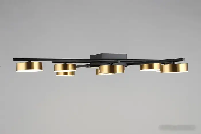 Подвесная люстра Aployt Delayn APL.042.07.56 – фото товара