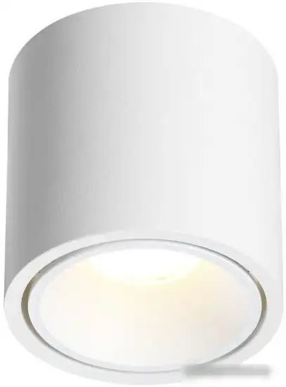 Точечный светильник Odeon Light Redo 6620/10CL – фото товара