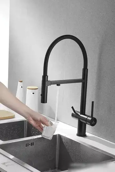 Смеситель Rose R958H (черный) - фото товара