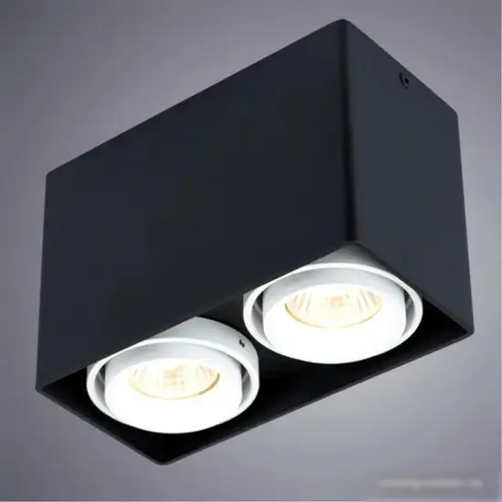 Точечный светильник Arte Lamp Pictor A5655PL-2BK – фото товара