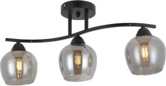 Люстра средней высоты Aitin Pro НПБ 02-3x60-101 RH8324/3 (черный) – изображение в каталоге