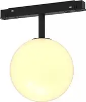 Трековый светильник Maytoni Exility Luna TR038-2-5W3K – изображение в каталоге