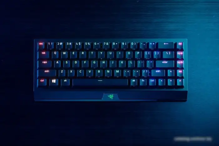 Клавиатура Razer Blackwidow V3 Mini HyperSpeed Green Switch – фото товара