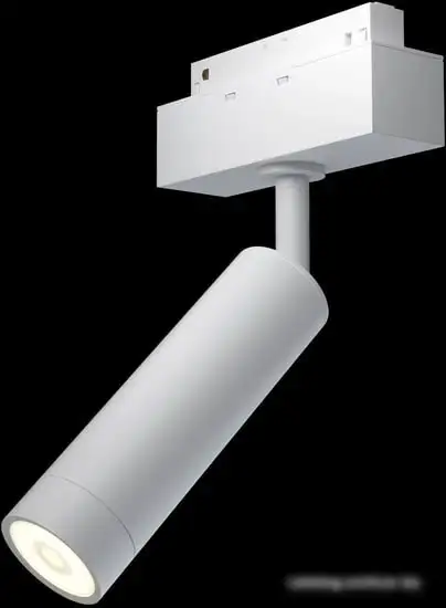 Точечный светильник Maytoni TR019-2-7W3K-W – фото товара