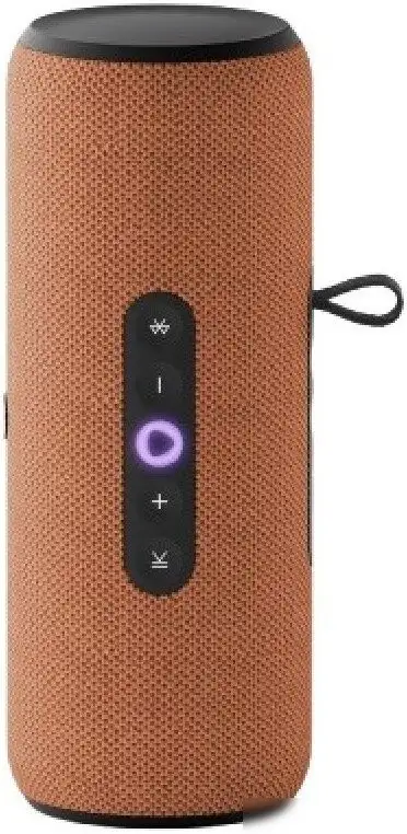 Умная колонка Яндекс Станция Стрит (оранжевый) – фото товара