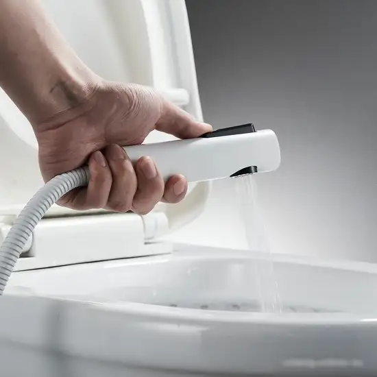 Гигиенический душ Rose R1805C-1 - фото товара