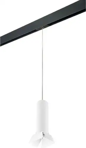 Трековый светильник Lightstar Rullo PRORP496436 – изображение в каталоге