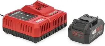 Аккумулятор с зарядным устройством Skil CB5196SE12 (20В/4 Ah + 20В) – изображение в каталоге