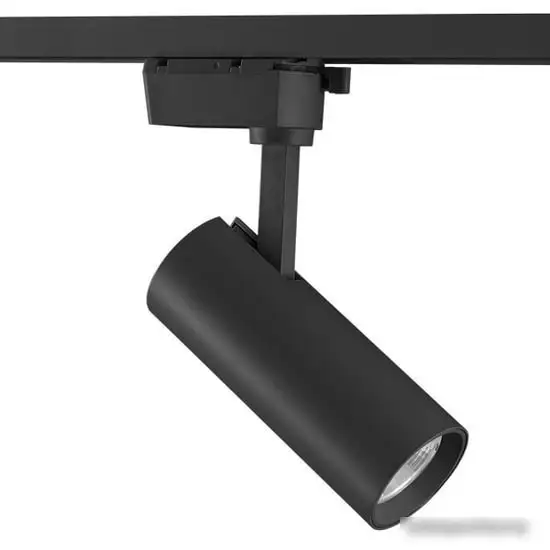 Точечный светильник Lightstar Volta 228247 – фото товара