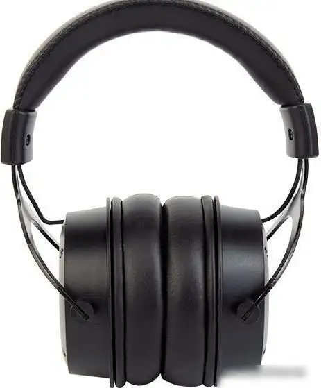 Наушники Music Public Kingdom HP501 – фото товара