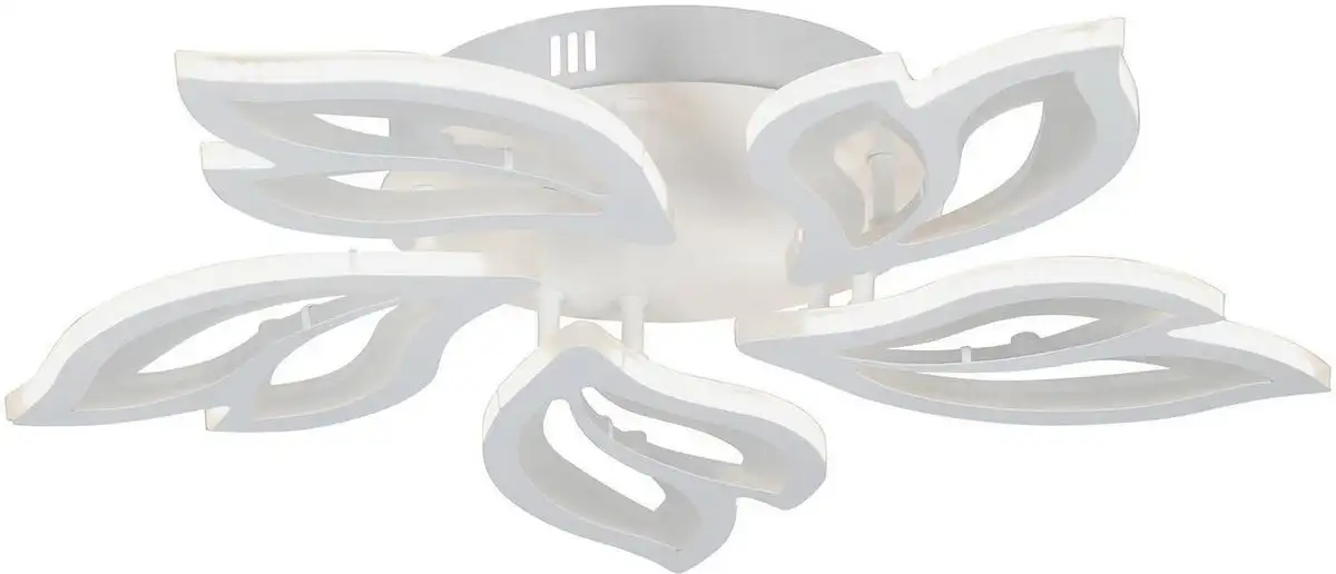 Vitaluce V3893-0/5PL – фото товара