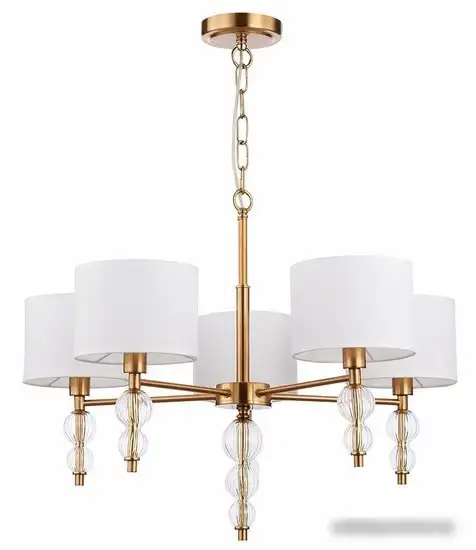 Подвесная люстра Evoluce Ramer SLE105713-05 – фото товара