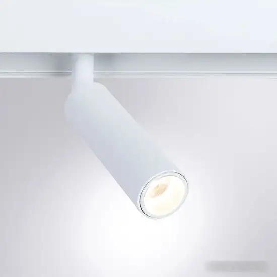 Трековый светильник Arte Lamp Linea A4660PL-1WH – фото товара