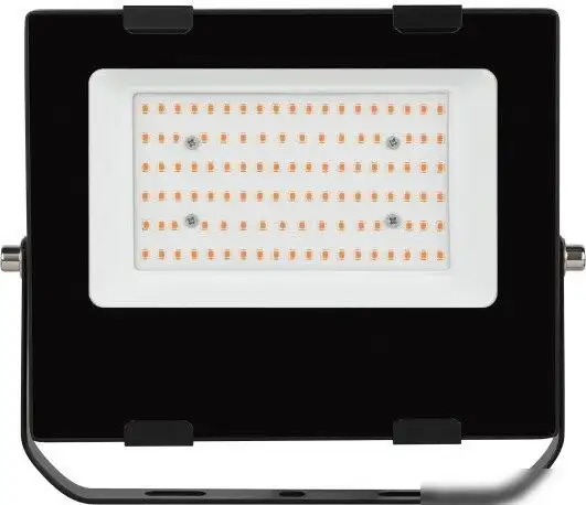 Садовый светильник ЭРА FITO-50W-RB-LED – фото товара