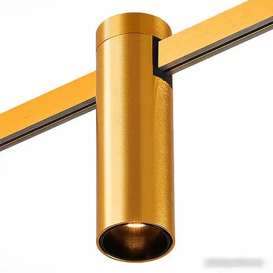 Трековый светильник ST Luce Farm ST810.206.05 – фото товара