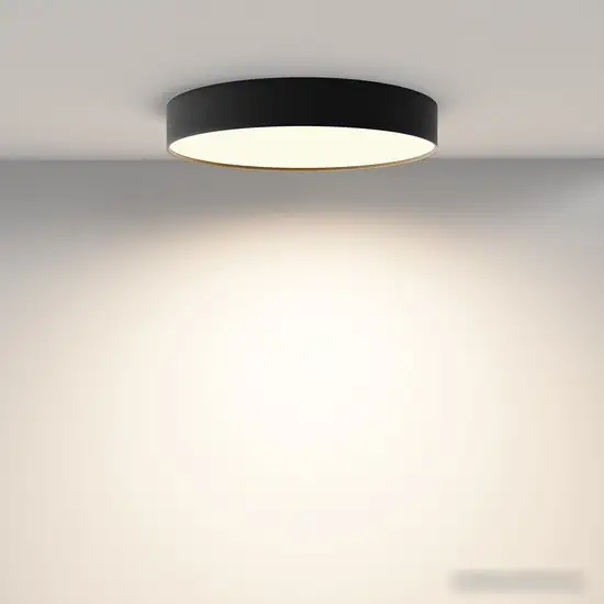 Припотолочная люстра Maytoni Zon C032CL-45W3K-RD-B – фото товара