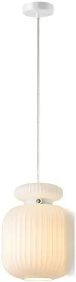 Подвесная люстра Odeon Light Jugi 5042/1C – фото товара