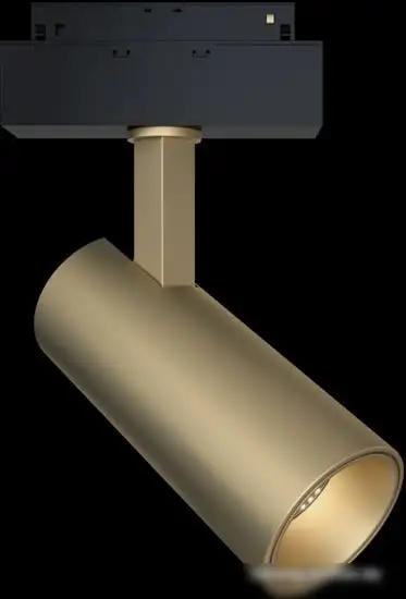 Точечный светильник Maytoni TR019-2-15W4K-MG – фото товара