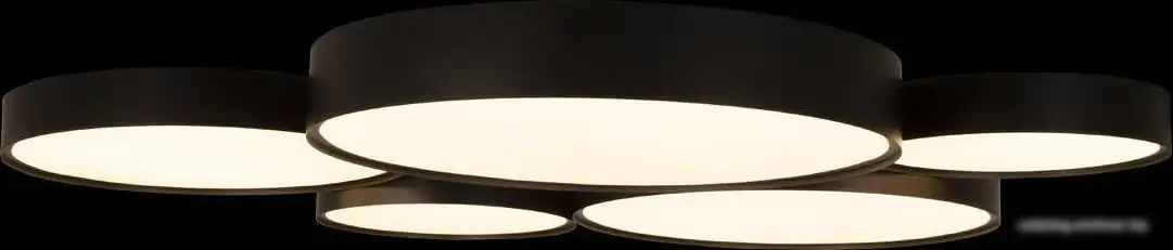 Припотолочная люстра LOFT IT Drum 10218 Black – фото товара