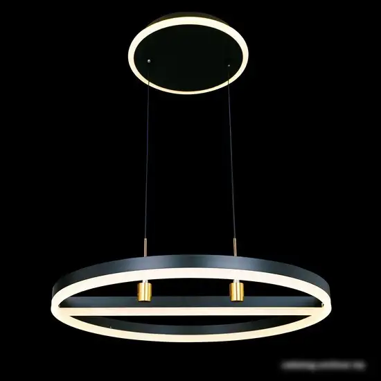 Подвесная люстра Natali Kovaltseva High-Tech Led Lamps 82048 – фото товара