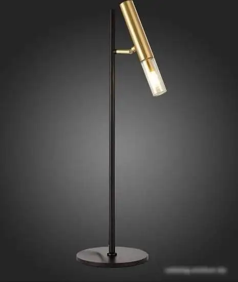 Настольная лампа ST Luce SL1236.404.01 – фото товара