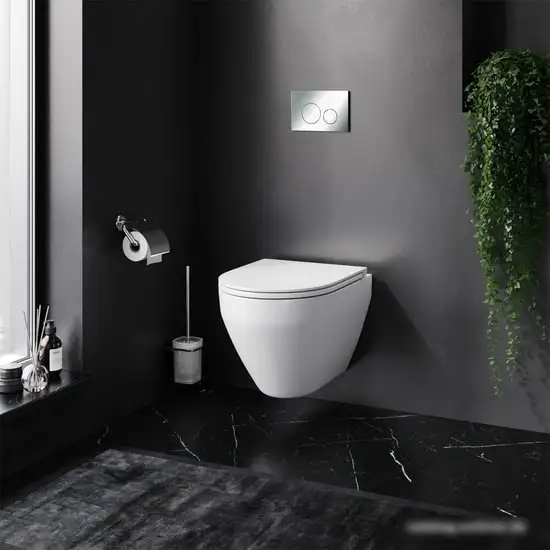 Унитаз AM.PM Spirit 2.0 FlashClean IS49051.701700 - фото товара