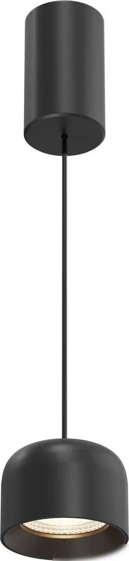 Подвесная люстра Maytoni P113-L12-3K-B – фото товара