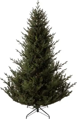 Ель GreenTerra Норвегия (2.5м) – изображение в каталоге