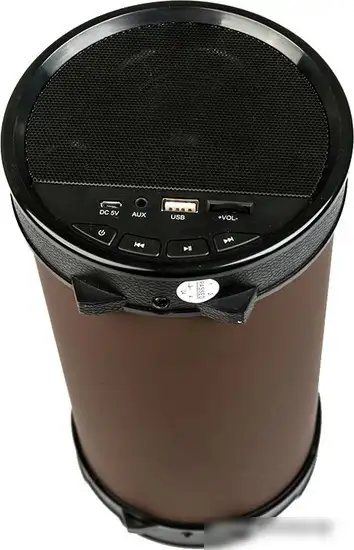 Беспроводная колонка Dialog AP-1000 – фото товара