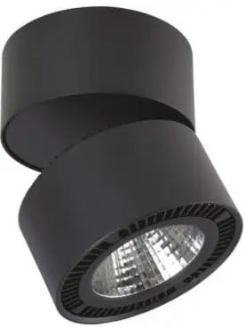 Точечный светильник Lightstar Forte Muro 214857 – изображение в каталоге