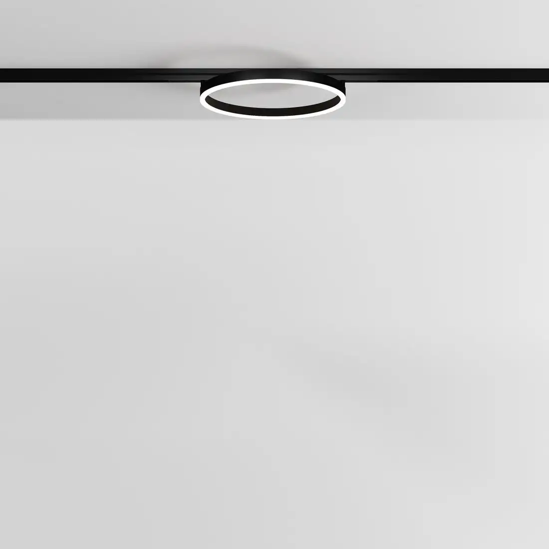 Трековый светильник Technical TR227-2-24W4K-B – фото товара