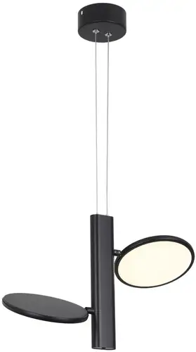 Подвесная люстра Lussole Aberdeen LSP-7084 – изображение в каталоге
