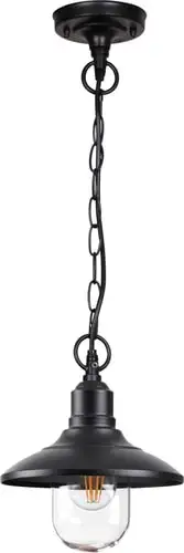 Уличный подвесной светильник Odeon Light Campa 4965/1